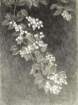 photo3_small.jpg