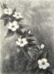photo5_small.jpg
