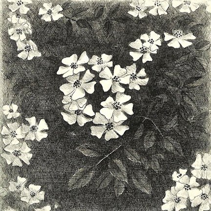 photo9.jpg