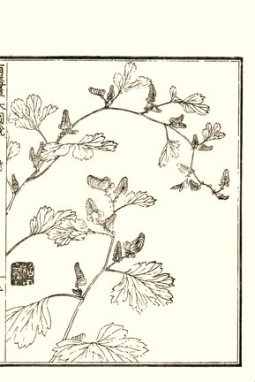 photo.jpg