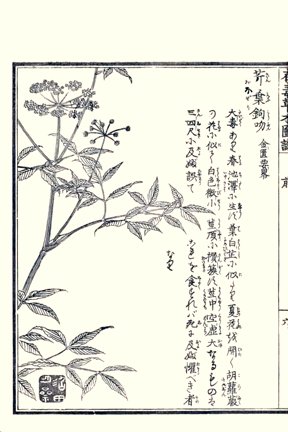 photo10.jpg