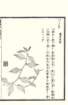 photo108_small.jpg