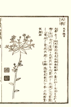 photo11.jpg