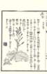 photo111_small.jpg