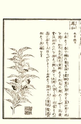 photo20.jpg