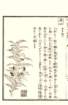 photo20_small.jpg