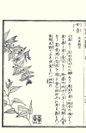 photo22.jpg
