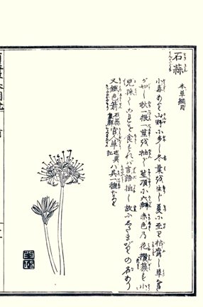 photo23.jpg
