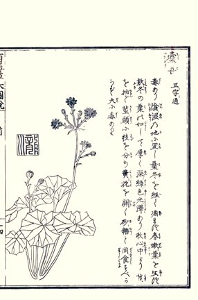 photo25.jpg