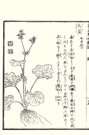 photo28.jpg