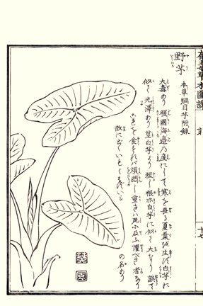 photo32.jpg
