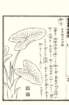 photo32_small.jpg