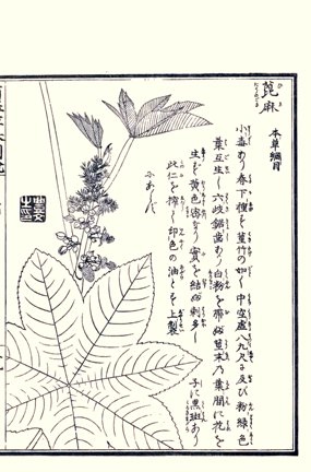 photo35.jpg