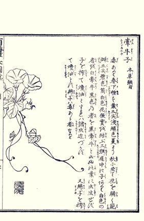 photo37.jpg