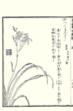 photo44.jpg