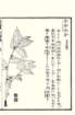 photo47_small.jpg