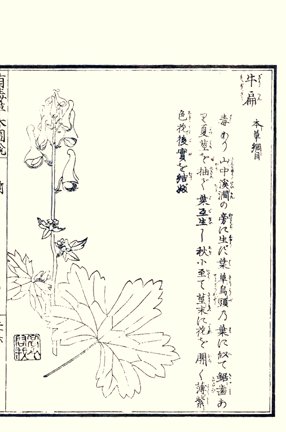 photo49.jpg