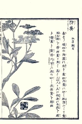 photo53.jpg