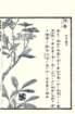 photo53_small.jpg