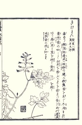photo55.jpg