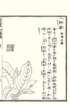 photo57_small.jpg