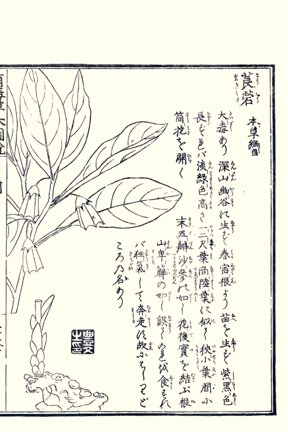 photo61.jpg