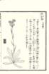 photo65_small.jpg