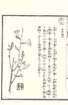 photo68_small.jpg