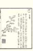 photo73_small.jpg