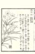 photo76_small.jpg
