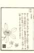 photo77_small.jpg