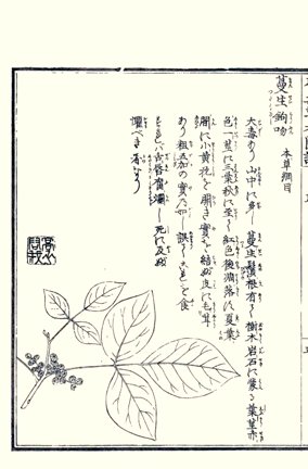 photo8.jpg