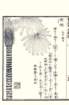 photo85_small.jpg