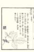 photo8_small.jpg