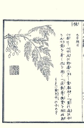 photo91.jpg