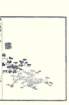 photo10_small.jpg