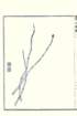 photo11_small.jpg