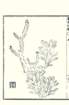 photo13_small.jpg