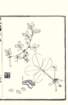 photo14_small.jpg