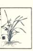 photo16_small.jpg