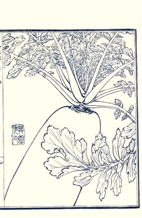 photo19.jpg