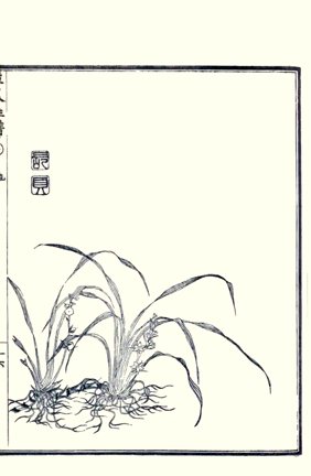photo23.jpg