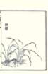 photo23_small.jpg