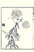 photo27_small.jpg