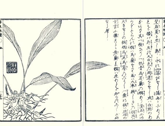 photo28.jpg