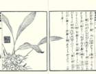 photo28_small.jpg