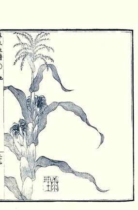 photo30.jpg