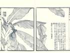 photo31_small.jpg