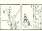 photo32_small.jpg