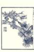 photo34_small.jpg